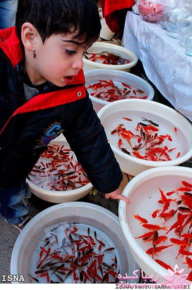 تصاویر عیدانه