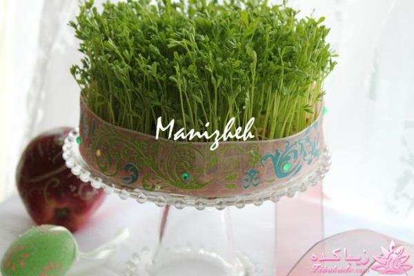 سبزه عید را خودتان سبز کنید !