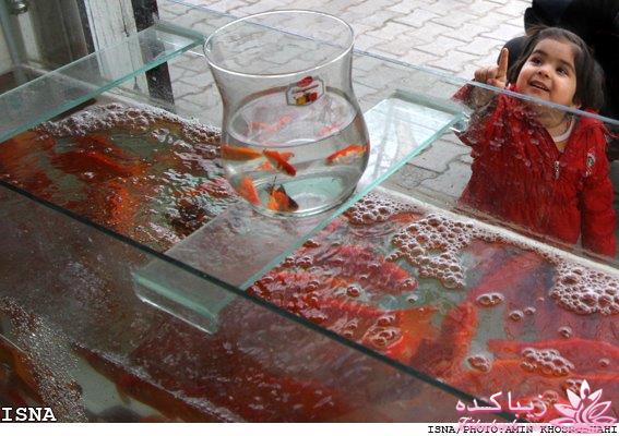 تصاویر عیدانه