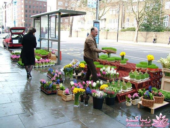 تصاویر عیدانه