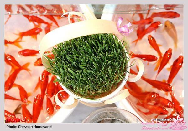 تصاویر عیدانه