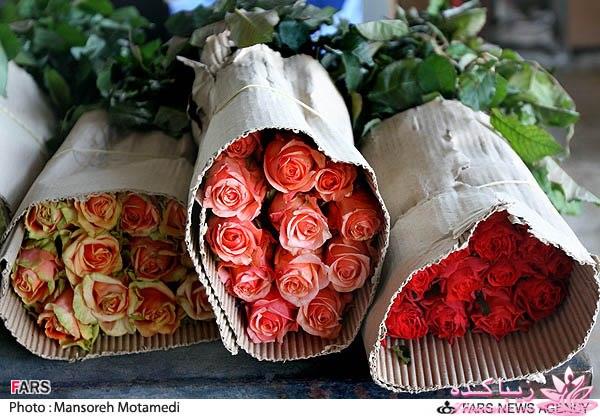 تصاویر عیدانه