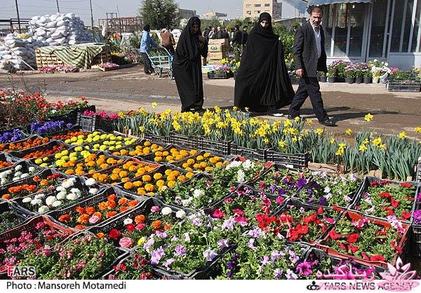 تصاویر عیدانه