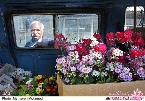 تصاویر عیدانه