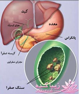 پزشکی و سلامت