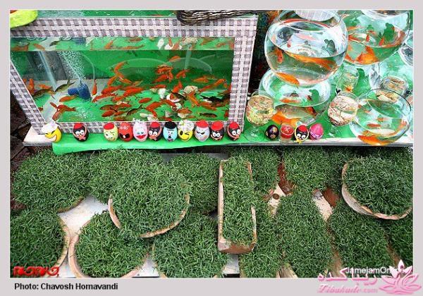 تصاویر عیدانه