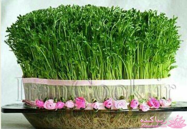 ایده ای زیبا برای سبزه ی سفره هفت سین