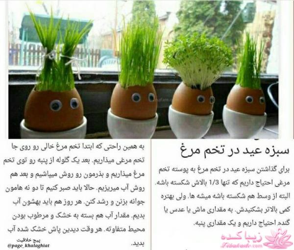 آموزش تزیین سفره هفت سین