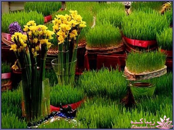 نوروز - اولین روز سال خورشیدی ایرانی