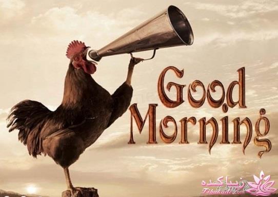 كافه گفت وگو ...