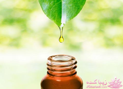 فرآورده های مراقبت از مو فولیکا