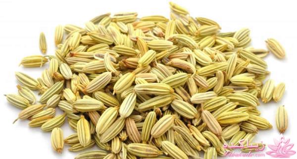 طب سنتی،به سوی تندرستی