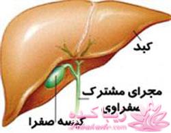 پزشکی و سلامت