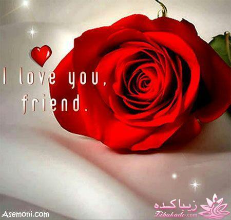 همسر خود را بشناسیم (دکتر انوشه)