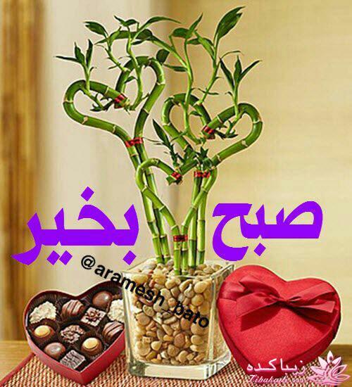 كافه گفت وگو ...