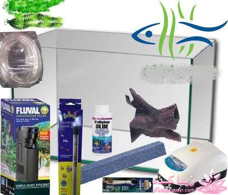 آکواریوم و نگهداری ماهیهای زینتی