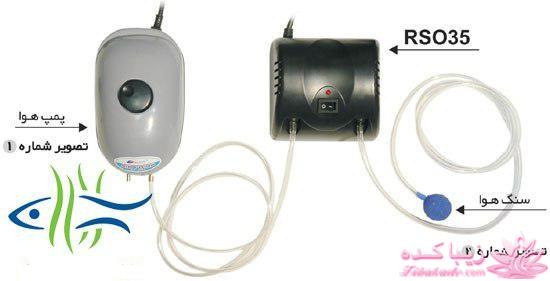 آکواریوم و نگهداری ماهیهای زینتی