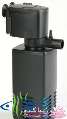 آکواریوم و نگهداری ماهیهای زینتی