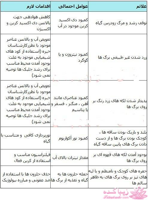 آکواریوم و نگهداری ماهیهای زینتی