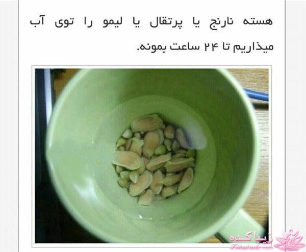 ایده ای زیبا برای سبزه ی سفره هفت سین