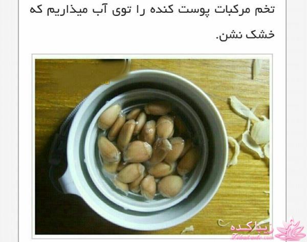 ایده ای زیبا برای سبزه ی سفره هفت سین