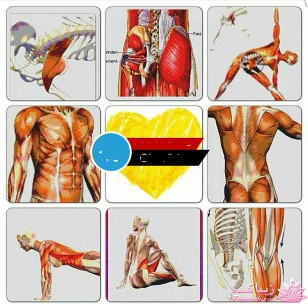 پیلاتس در خانه و تناسب اندام