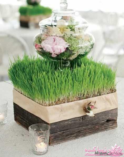 ایده ای زیبا برای سبزه ی سفره هفت سین