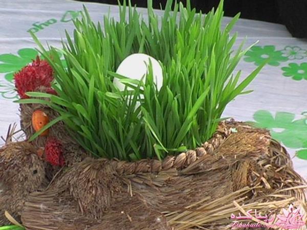 ایده ای زیبا برای سبزه ی سفره هفت سین