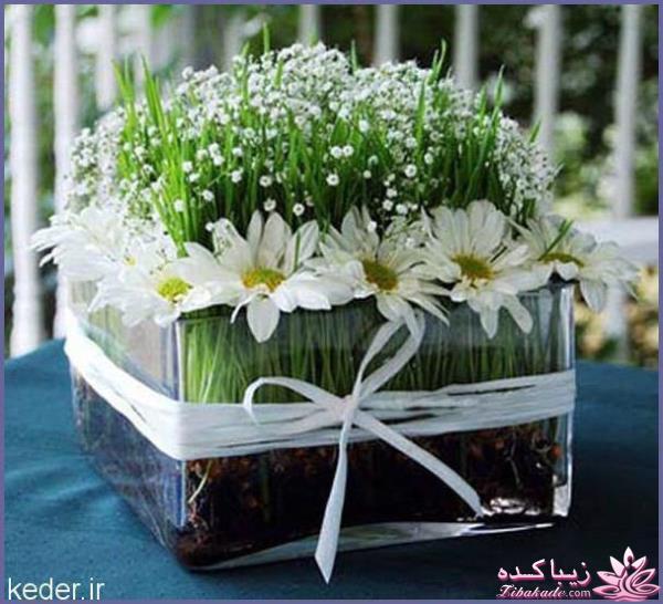ایده ای زیبا برای سبزه ی سفره هفت سین