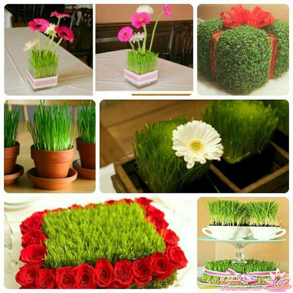 ایده ای زیبا برای سبزه ی سفره هفت سین