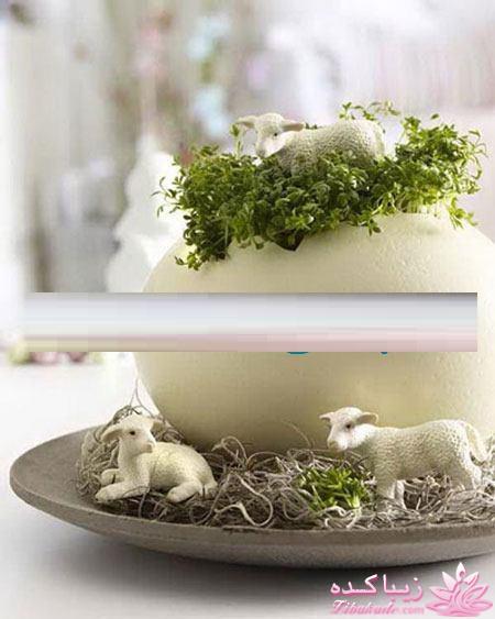 ایده ای زیبا برای سبزه ی سفره هفت سین