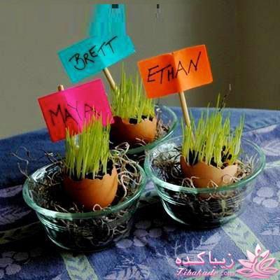 ایده ای زیبا برای سبزه ی سفره هفت سین