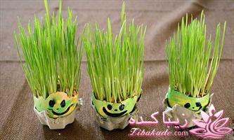 ایده ای زیبا برای سبزه ی سفره هفت سین