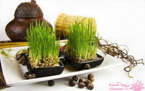 ایده ای زیبا برای سبزه ی سفره هفت سین