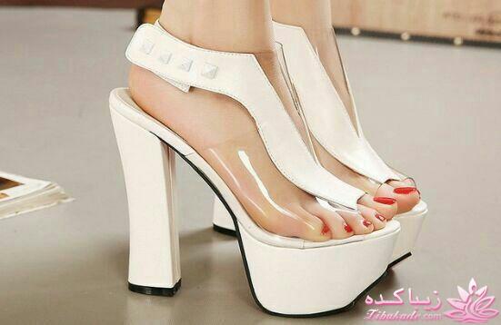 انواع کیف و کفش