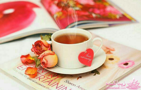 انواع دمنوش و خواص آنها