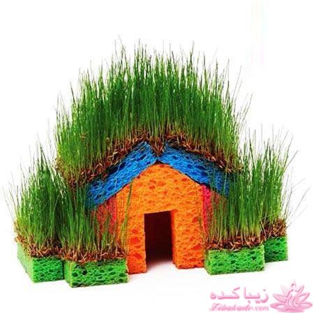 ایده ای زیبا برای سبزه ی سفره هفت سین