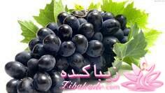 درمان بدون دارو - عکس نوشته های سلامتی