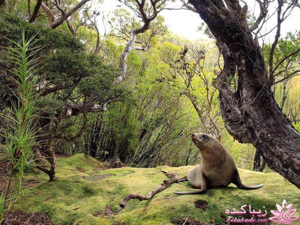 تصاویر منتخب مجله نشنال جئوگرافیک