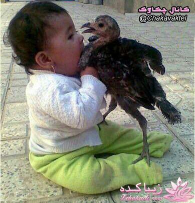 جـــــــــــــکـــــــ     جــــــــــالــــــــب