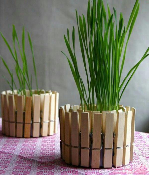 ایده ای زیبا برای سبزه ی سفره هفت سین