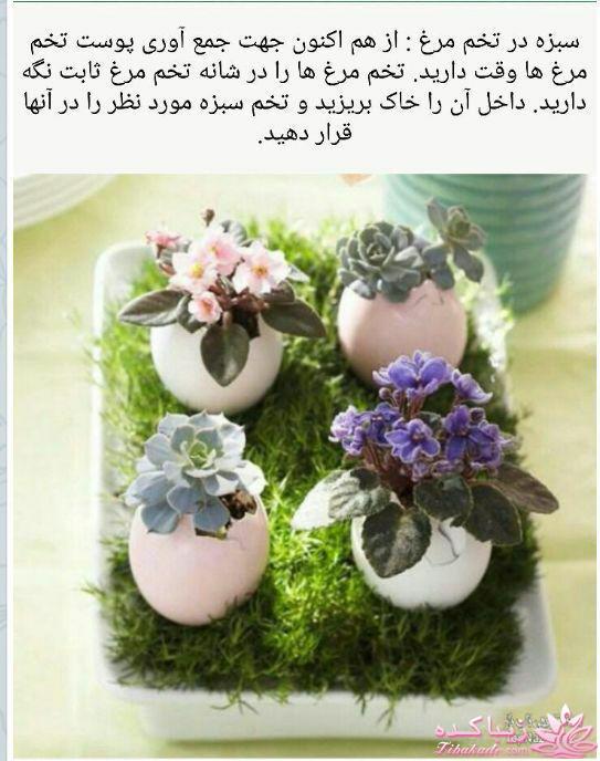 آموزش تزیین سفره هفت سین