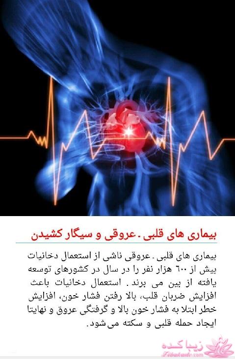 دکتر آز اینجاست... رهنمودهای دکتر mehmet oz