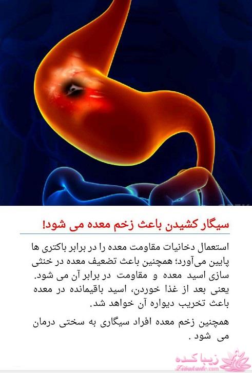 دکتر آز اینجاست... رهنمودهای دکتر mehmet oz