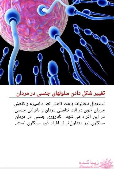 دکتر آز اینجاست... رهنمودهای دکتر mehmet oz