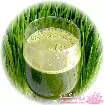 انواع نوشیدنی