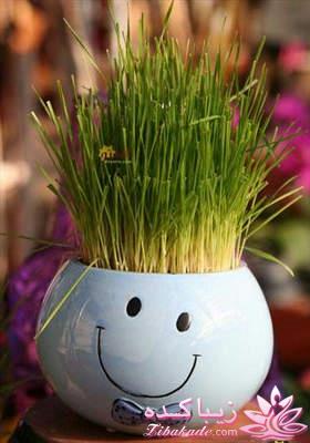 آموزش تزیین سفره هفت سین