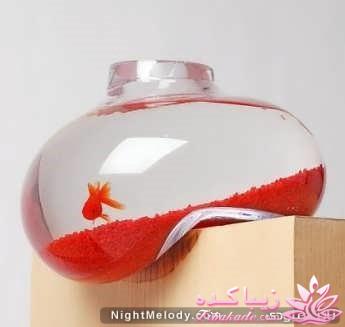 تزیین تنگ ماهی هفت سین