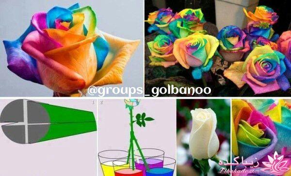 ایده های خلاقانه