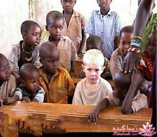 جـــــــــــــکـــــــ     جــــــــــالــــــــب